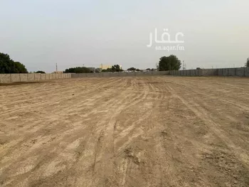 أرض للإيجار في البطنة ، بيش صورة 5