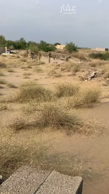 أرض للبيع في طريق مجمع الادارات الحكومية ، حي قوز الجعافره ، صبيا ، صبيا صورة 2
