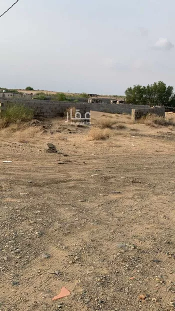 أرض للبيع في طريق مجمع الادارات الحكومية ، حي قوز الجعافره ، صبيا ، صبيا صورة 4