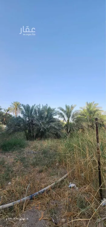 أرض للبيع في مدينة الاحساء, المنطقة الشرقية صورة 2