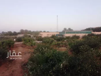 مزرعة للبيع في حي أم الشعال, مدينة الرياض, منطقة الرياض صورة 2