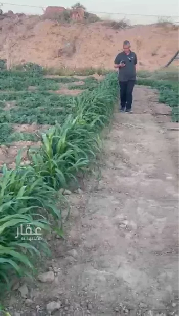 أرض للبيع في حي فيده الوسطي, مدينة فيده الوسطي, منطقة مكة المكرمة