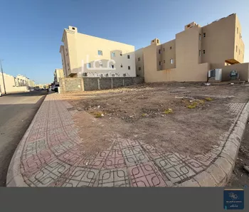 أرض للبيع في شارع الحارث ابن جندب, حي شوران, مدينة المدينه المنوره, منطقة المدينة المنورة صورة 4