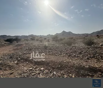أرض للبيع في حي المندسة, مدينة المدينه المنوره, منطقة المدينة المنورة صورة 5