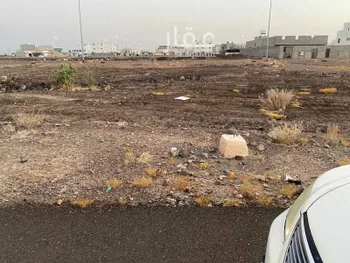 أرض للبيع في شارع علي ابن داود, حي السكب, مدينة المدينه المنوره, منطقة المدينة المنورة