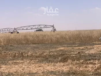 أرض للإيجار في شارع لا يوجد, مدينة الدوحة, منطقة القصيم صورة 3