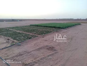 أرض للإيجار في حي العرداء, مدينة العرداء, منطقة القصيم صورة 2