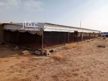 أرض للإيجار في شارع شارع القصيم, حي الثامريه, مدينة امارة منطقة القصيم - الثامريه, منطقة القصيم صورة 4
