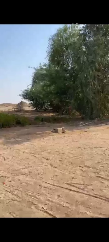 أرض للإيجار في مدينة الارطاوي, منطقة القصيم صورة 5