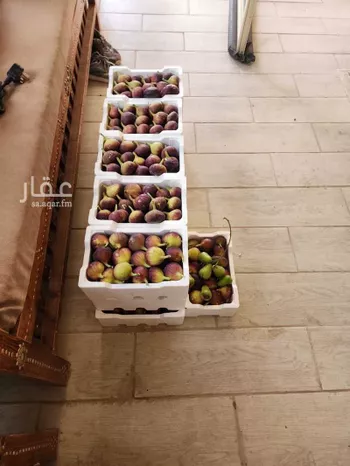 مزرعة للبيع في شارع مزرعة الطارق, حي اللغفيه, مدينة اللغفيه, منطقة الرياض صورة 3