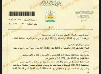 أرض للبيع في حي ضاحية العرفاء, مدينة امارة منطقة مكة المكرمة - الطائف, منطقة مكة المكرمة