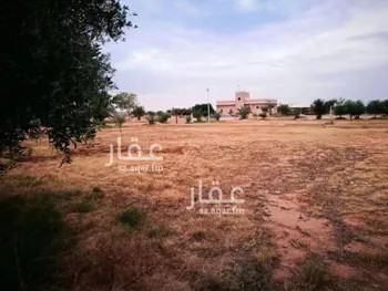 أرض للبيع في شارع ملهم 356, حي دقله, مدينة دقله, منطقة الرياض صورة 4