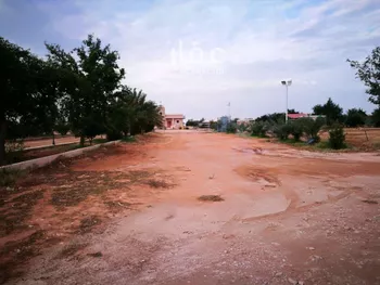 أرض للإيجار في شارع ملهم 356, حي دقله, مدينة دقله, منطقة الرياض صورة 2