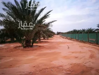 أرض للبيع في شارع ملهم 356, حي دقله, مدينة دقله, منطقة الرياض صورة 5