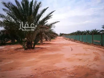 أرض للإيجار في شارع ملهم 356, حي دقله, مدينة دقله, منطقة الرياض صورة 5