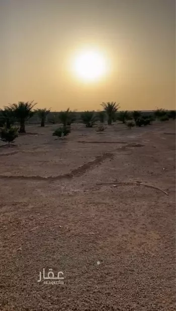 مزرعة للبيع في حي الساحبه ومزارعها, مدينة الساحبه ومزارعها, منطقة الرياض صورة 5