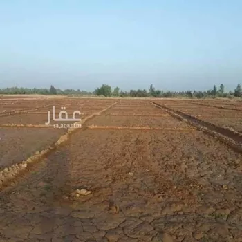 أرض للإيجار في شارع 4162001, حي أحد2, مدينة الاحساء, المنطقة الشرقية