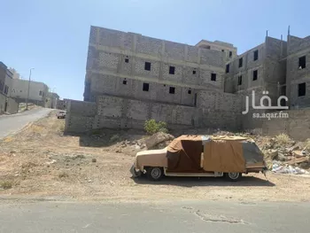 أرض للبيع في شارع أسيد, حي أم العراد, مدينة امارة منطقة مكة المكرمة - الطائف, منطقة مكة المكرمة صورة 2