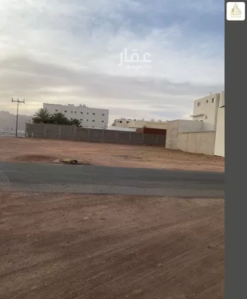 أرض للإيجار في شارع ابن قدامه, حي النقرة, مدينة حائل, منطقة حائل صورة 3