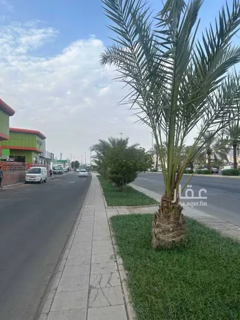 عمارة للبيع في شارع طريق الامير نايف بن عبدالعزيز, حي الزهرة, مدينة المدينه المنوره, منطقة المدينة المنورة صورة 3