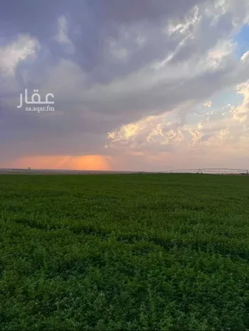 مزرعة للبيع في ساق ، البكيرية