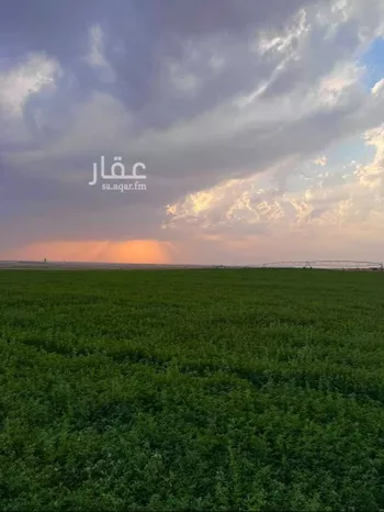 مزرعة للبيع في شارع ساق 51 ، ساق ، البكيرية