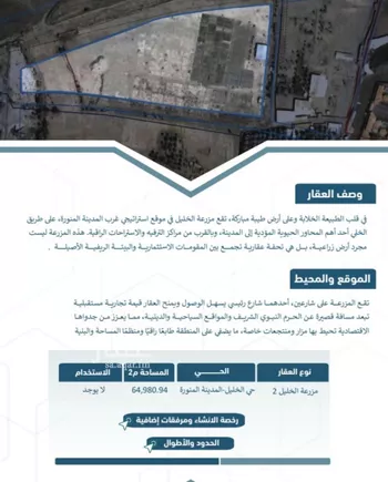 مزرعة للبيع في شارع علي ابن سعادة, حي سد الغابة, مدينة المدينه المنوره, منطقة المدينة المنورة صورة 2