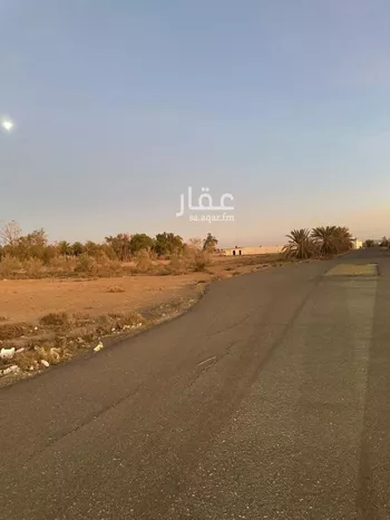 مزرعة للبيع في شارع رقم الشارع 42, مدينة تبوك, منطقة تبوك صورة 5