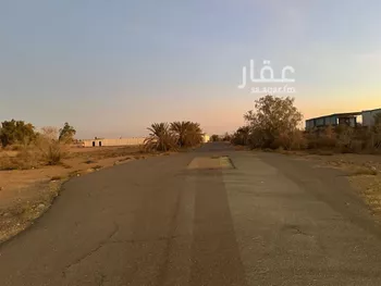 مزرعة للبيع في شارع رقم الشارع 42, مدينة تبوك, منطقة تبوك صورة 3