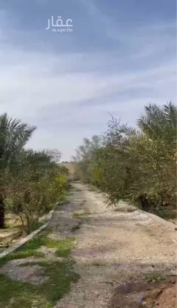 مزرعة للبيع في شارع عثمان بن عفان, مدينة عنيزه, منطقة القصيم صورة 3