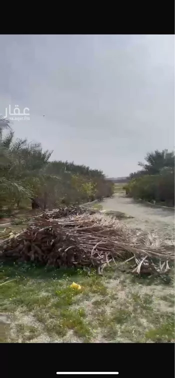 مزرعة للبيع في شارع عثمان بن عفان, مدينة عنيزه, منطقة القصيم صورة 2