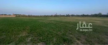 مزرعة للبيع في شارع البكيريه 999, مدينة البكيريه, منطقة القصيم صورة 3