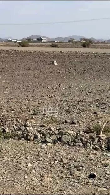أرض للبيع في شارع سعيد بن خلف , حي ابيار الماشي, مدينة المدينه المنوره, منطقة المدينة المنورة