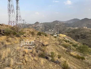 أرض للبيع في شارع شارع أبها , حي الخالدية, مدينة ابها, منطقة عسير صورة 4