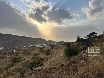 أرض للبيع في شارع شارع أبها , حي الخالدية, مدينة ابها, منطقة عسير صورة 2