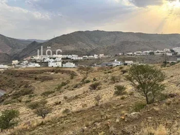 أرض للبيع في شارع شارع أبها , حي الخالدية, مدينة ابها, منطقة عسير صورة 5