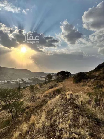 أرض للبيع في شارع شارع أبها , حي الخالدية, مدينة ابها, منطقة عسير صورة 3