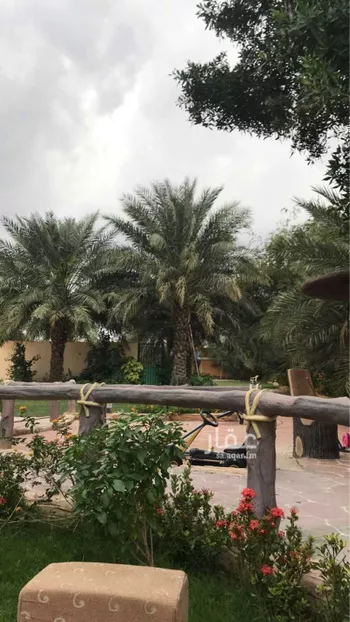 شاليه واستراحة للحجز في شارع ريع وصيق وفقاسة نعمان 196 ، شداد ، منطقة مكة المكرمة
