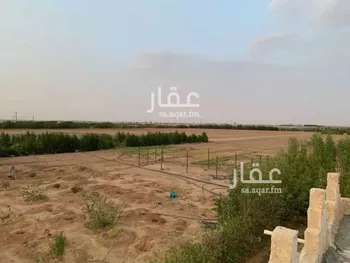 أرض للإيجار في شارع كمال البغدادي, حي تبراك, مدينة الجله, منطقة الرياض صورة 3