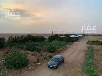 أرض للإيجار في شارع كمال البغدادي, حي تبراك, مدينة الجله, منطقة الرياض صورة 2