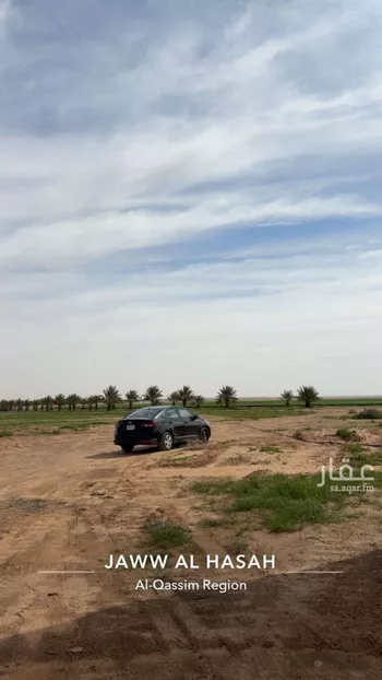 مزرعة للبيع في شارع الرمحيه, مدينة الرمحيه, منطقة القصيم صورة 3