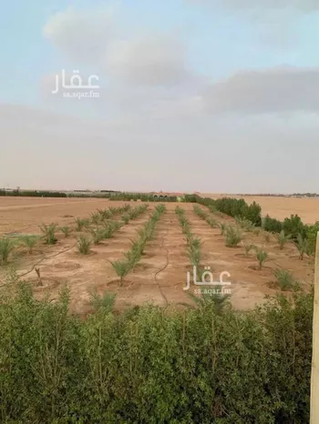 أرض للإيجار في شارع كمال البغدادي, حي تبراك, مدينة الجله, منطقة الرياض