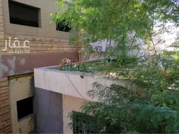 عمارة للإيجار في شارع اروى بنت عبدالمطلب, حي الملز, مدينة الرياض, منطقة الرياض صورة 4