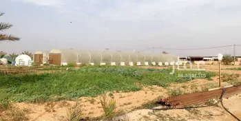 مزرعة للبيع في شارع دقله195, حي دقله, مدينة دقله, منطقة الرياض
