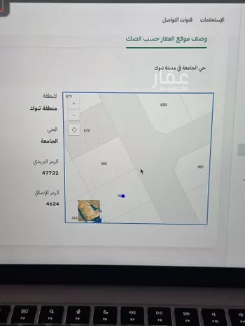 أرض للبيع في شارع فرس الوادي, حي الجامعة, مدينة تبوك, منطقة تبوك صورة 3