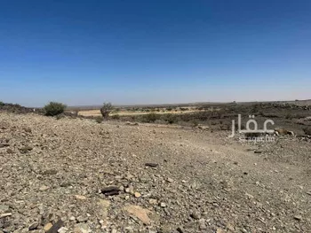 أرض للبيع في شارع ٠٠٠٠, حي ضاحية العرفاء, مدينة امارة منطقة مكة المكرمة - الطائف, منطقة مكة المكرمة صورة 5