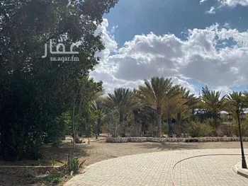 مزرعة للبيع في شارع ربيعة ابن رواء العنسي, حي مثملة, مدينة امارة منطقة مكة المكرمة - الطائف, منطقة مكة المكرمة صورة 3