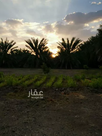 مزرعة للبيع في حي المليليح, مدينة المدينه المنوره, منطقة المدينة المنورة صورة 5