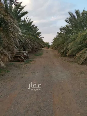 مزرعة للبيع في حي المليليح, مدينة المدينه المنوره, منطقة المدينة المنورة صورة 4