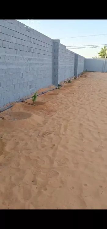 استراحة للبيع في شارع زهرة الربيع, حي هجره الذيبيه وخضراء, مدينة هجره الذيبيه وخضراء, منطقة الرياض صورة 3